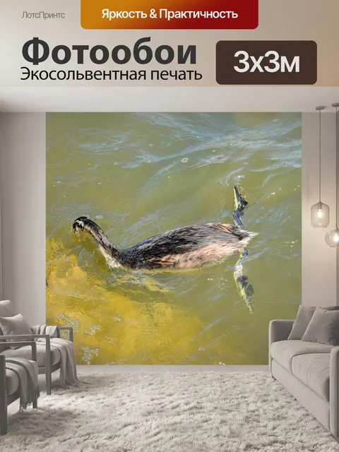 Фотообои Птицы