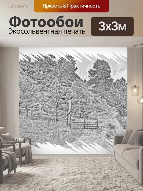 Фотообои Набросал проселочной дороге