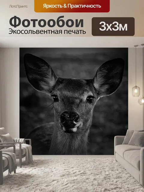Фотообои Животное