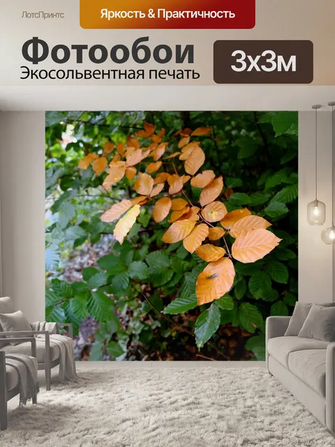 Фотообои Листья