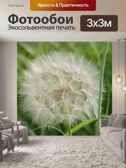 Фотообои Насадка-гигант