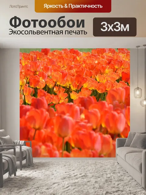 Фотообои Тюльпаны