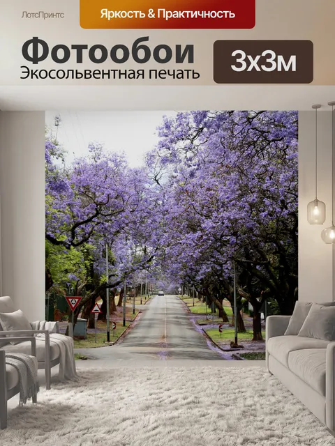 Фотообои улица с Jacarandas