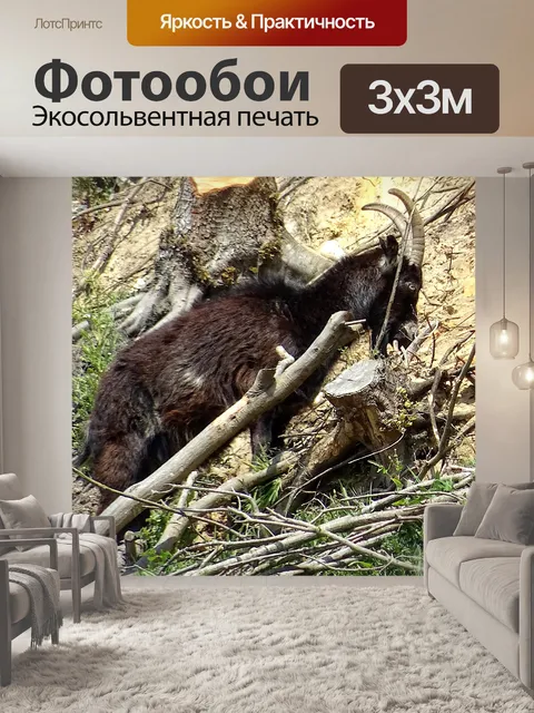 Фотообои Горный козел на горе