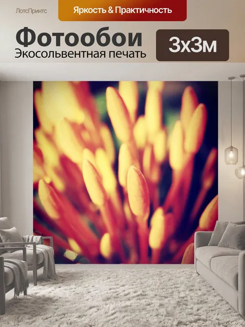 Фотообои Красивый цветок