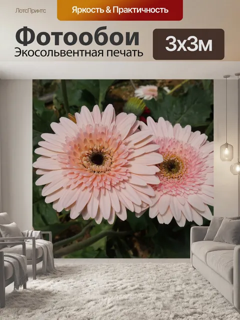 Фотообои Цветы
