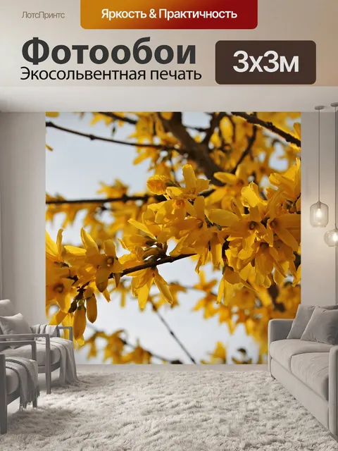 Фотообои Цветы