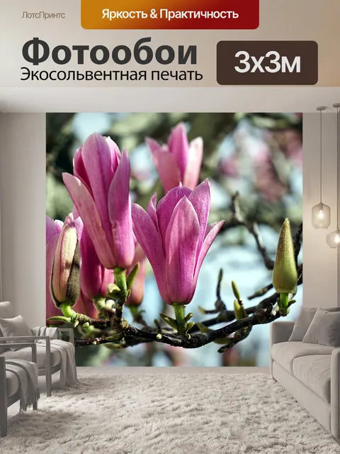 Фотообои Цветы магнолии