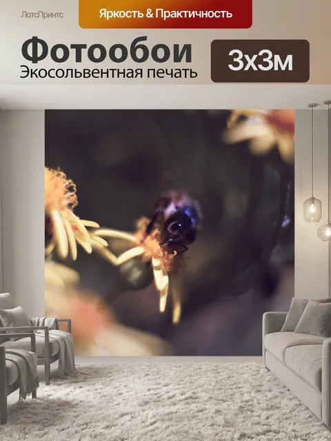 Фотообои Пчела