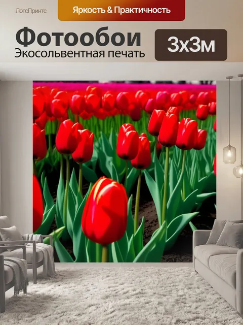 Фотообои красные тюльпаны в городе