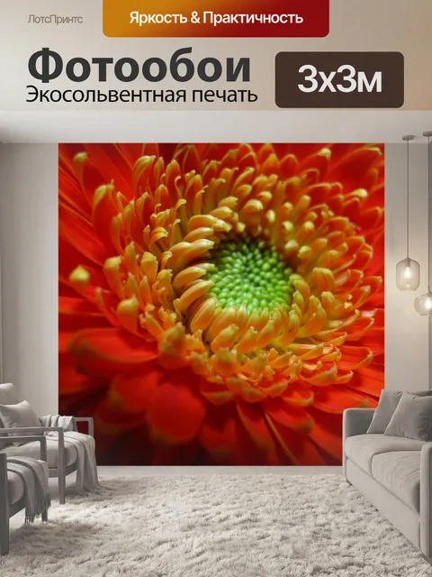 Фотообои Красивая Оранжевый Желтый Дейзи