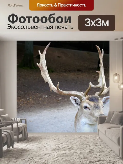 Фотообои Лань