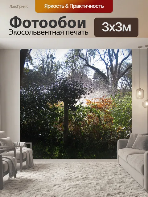 Фотообои распыление воды в загородном саду