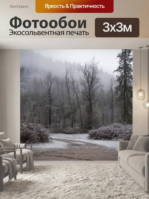 Фотообои Снег на горной дороге