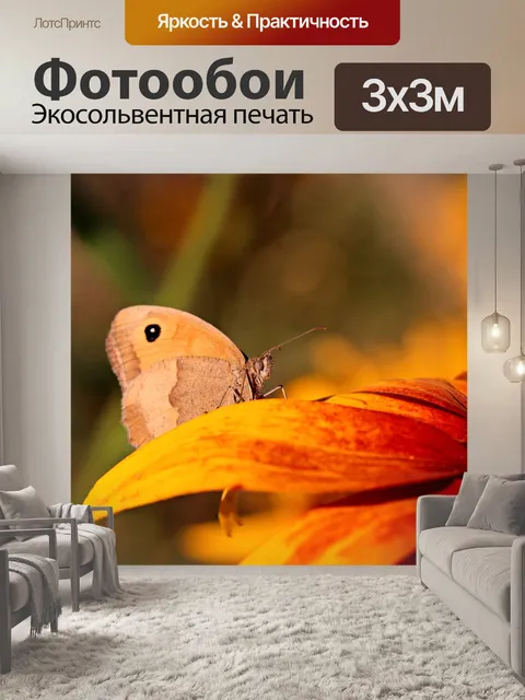 Фотообои Бабочка
