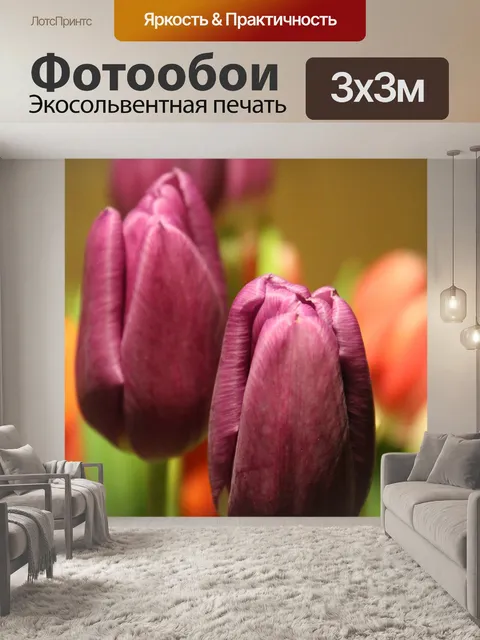Фотообои Тюльпаны