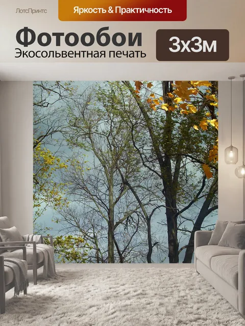 Фотообои Осенние деревья