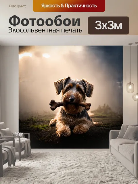 Фотообои бриарская собака, осторожно держа в зубах старую кость, на фоне утренних туманов
