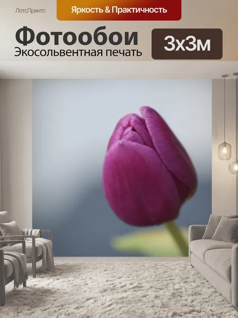 Фотообои Тюльпан