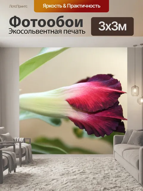 Фотообои Бутон