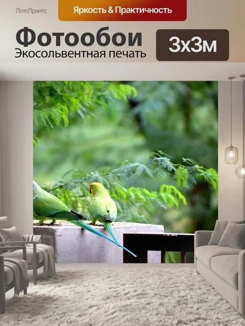 Фотообои Попугаи