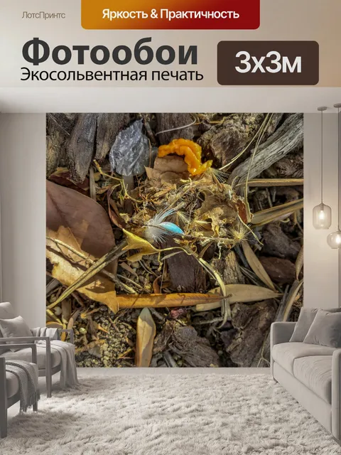 Фотообои Естественный фон Blue Feather