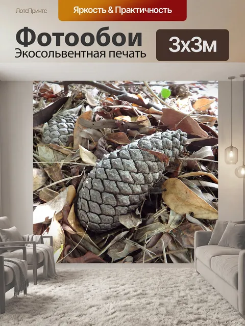Фотообои Шишка