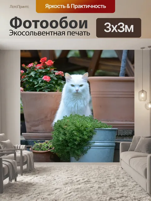 Фотообои Белая кошка