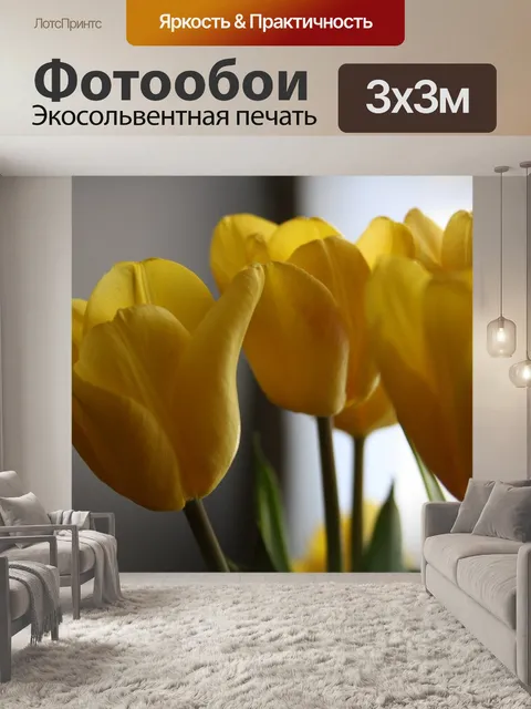 Фотообои Тюльпаны