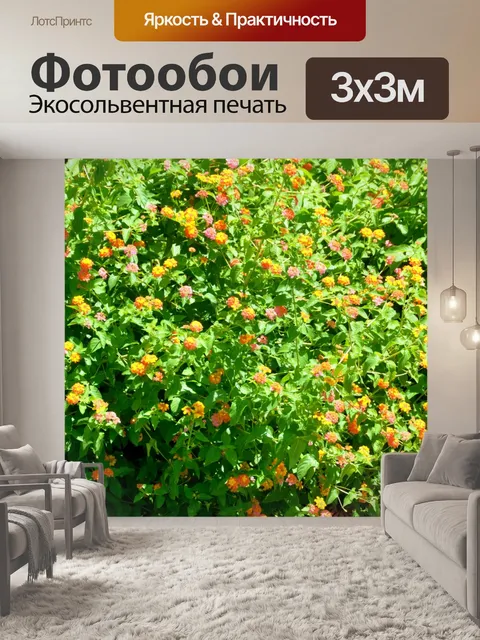 Фотообои Лантана цветок фон