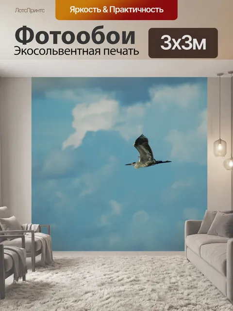 Фотообои Птица