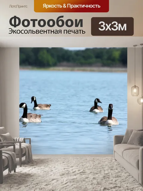 Фотообои Каким образом они шли