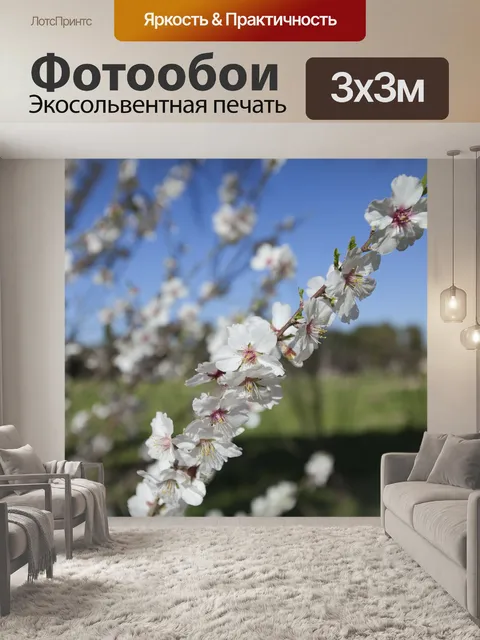 Фотообои Цветы