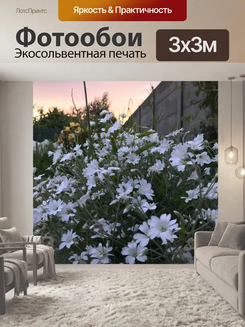 Фотообои Цветы