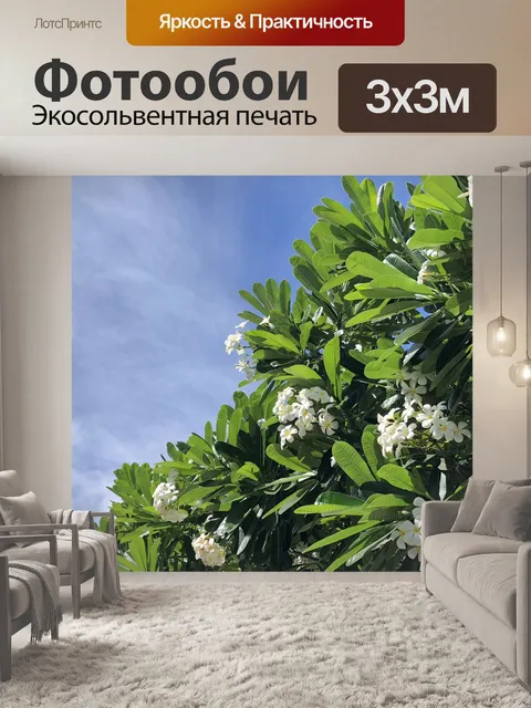 Фотообои Цветы