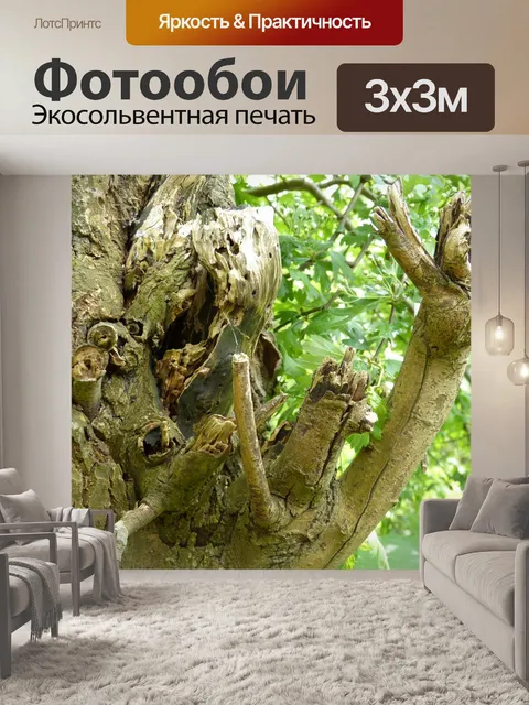 Фотообои Дерево
