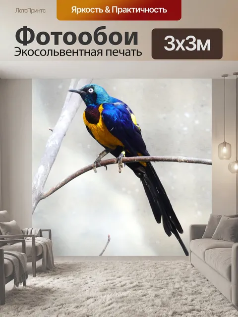 Фотообои Птица