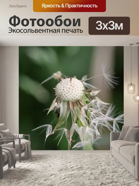 Фотообои Одуванчик