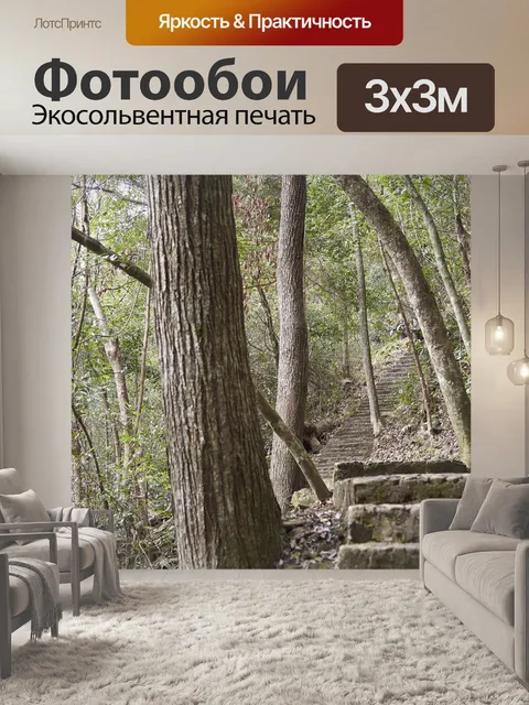 Фотообои Дорога
