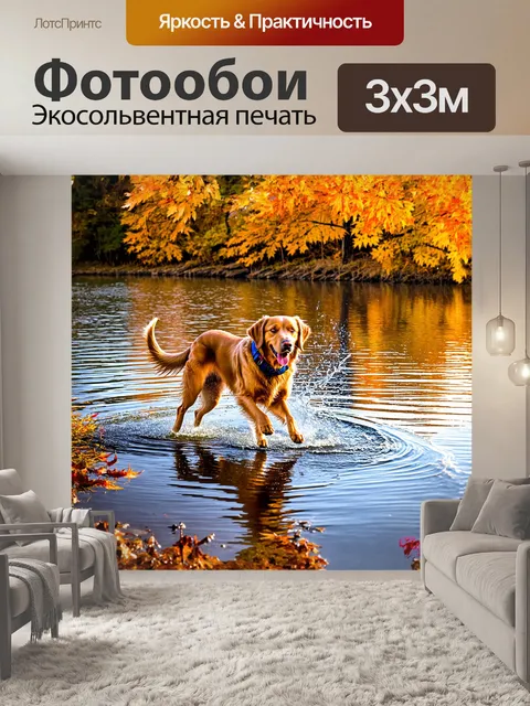 Фотообои золотистый ретривер веселится у берега спокойного озера, где вода отражает яркие осенние листья