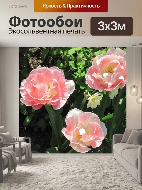 Фотообои Розы
