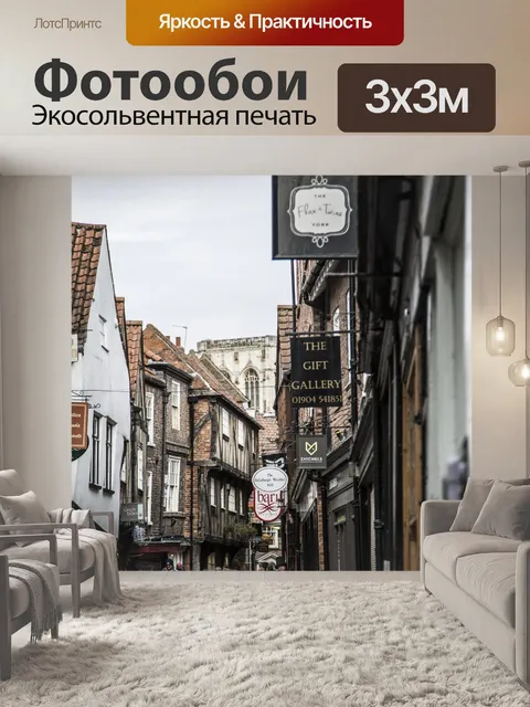 Фотообои Шамблес в Йорке