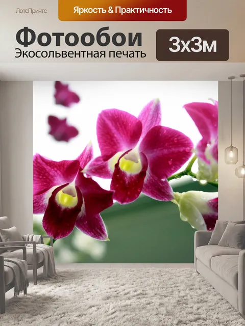 Фотообои Цветок орхидеи цветы
