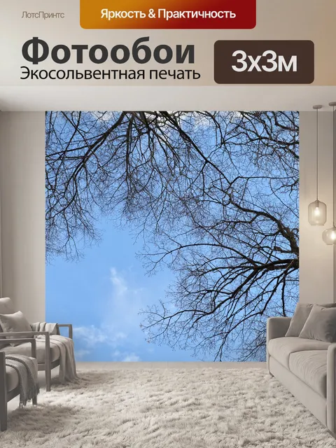 Фотообои Лес