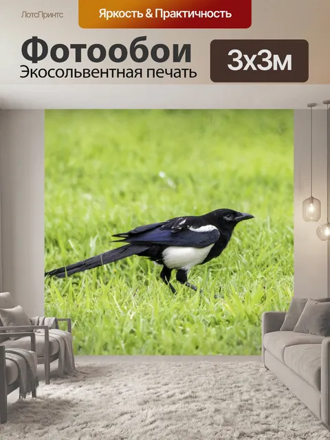 Фотообои Птица