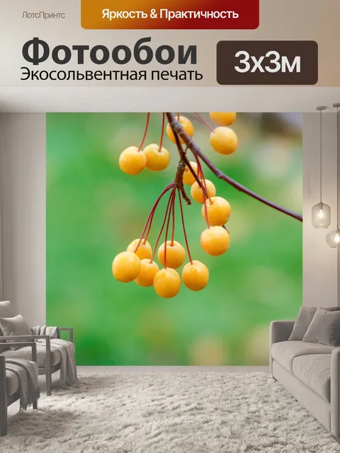 Фотообои Фрукты