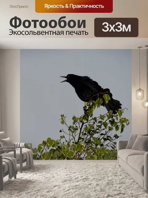 Фотообои Птица