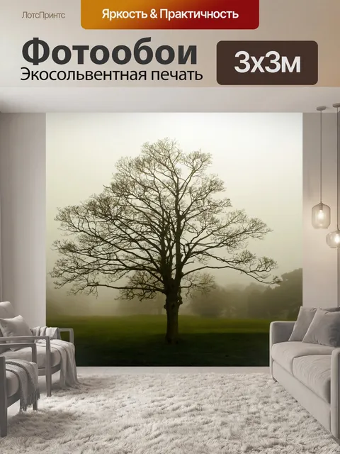 Фотообои Туман