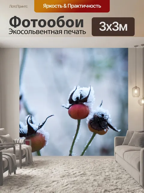 Фотообои Шиповник Зимой