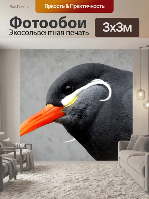 Фотообои Голова птиц инков-тернов